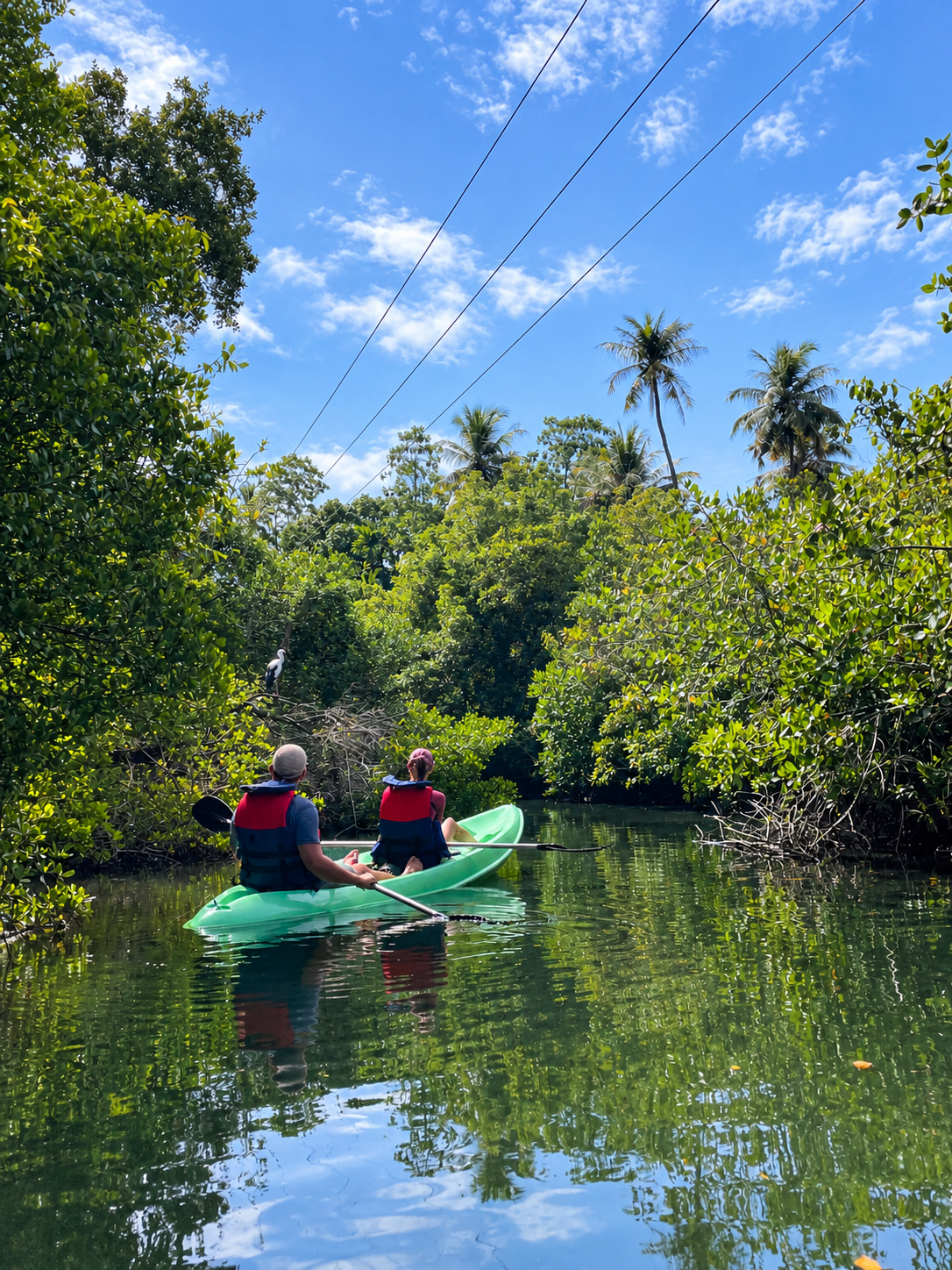 Eco Kayak Exploration