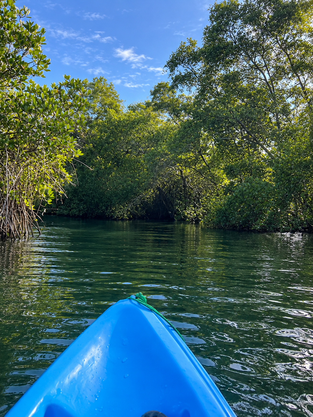 Kayaking Scenic Waters