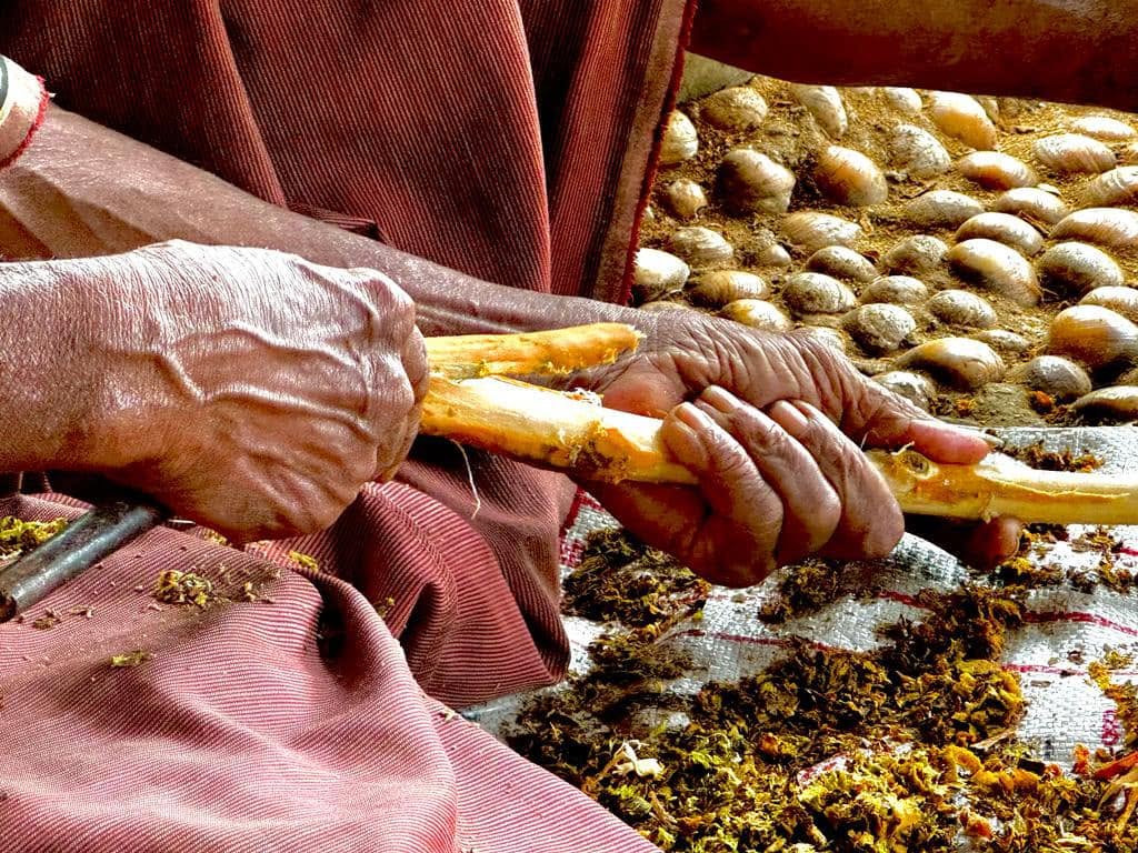 Ceylon Cinnamon Demonstration