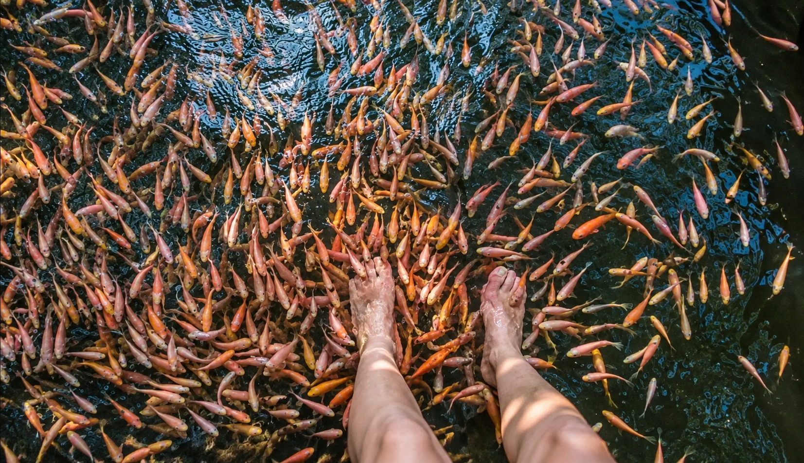 Refreshing Lagoon Fish Massage