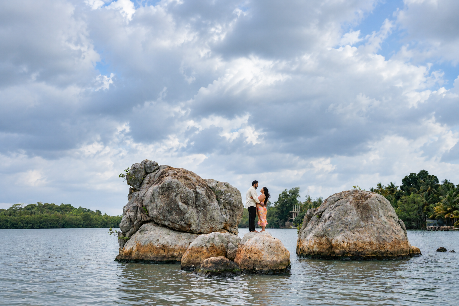 Exploring Mangrove Roots