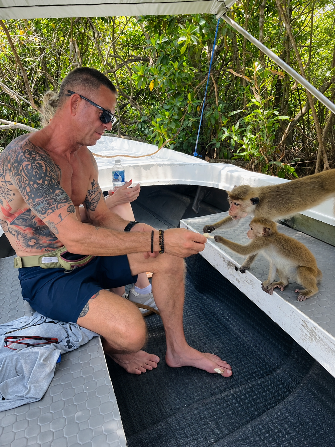 Tree Canopy Monkeys