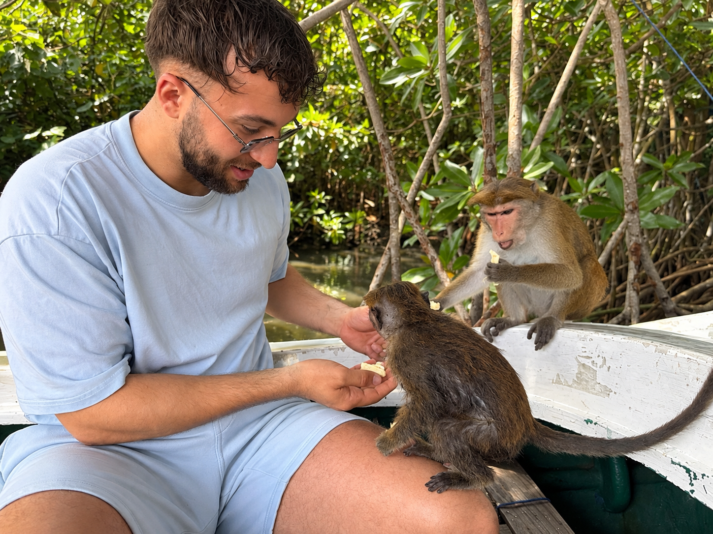 Close Encounter with Monkeys