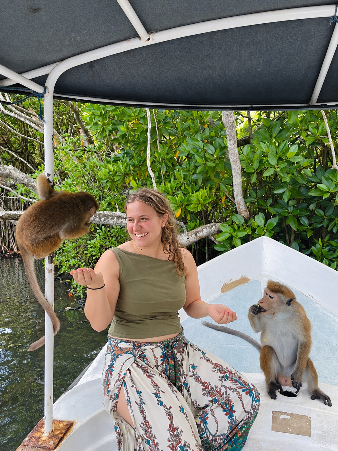 Monkey Habitat Exploration