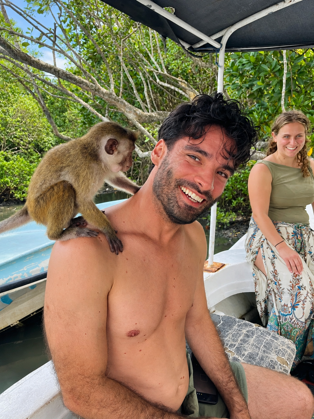 Wildlife Monkey Feeding