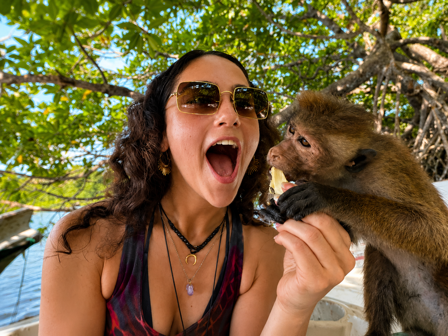Island Monkeys